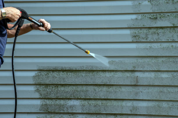 Best Affordable Pressure Washing  in Weirton, WV