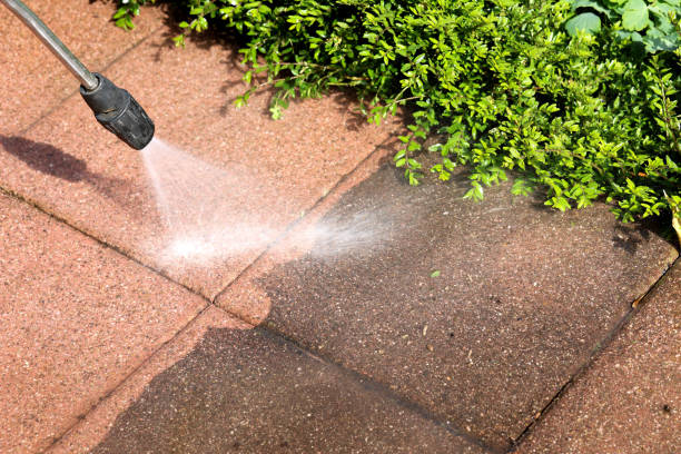 Best Residential Pressure Washing Services  in Weirton, WV